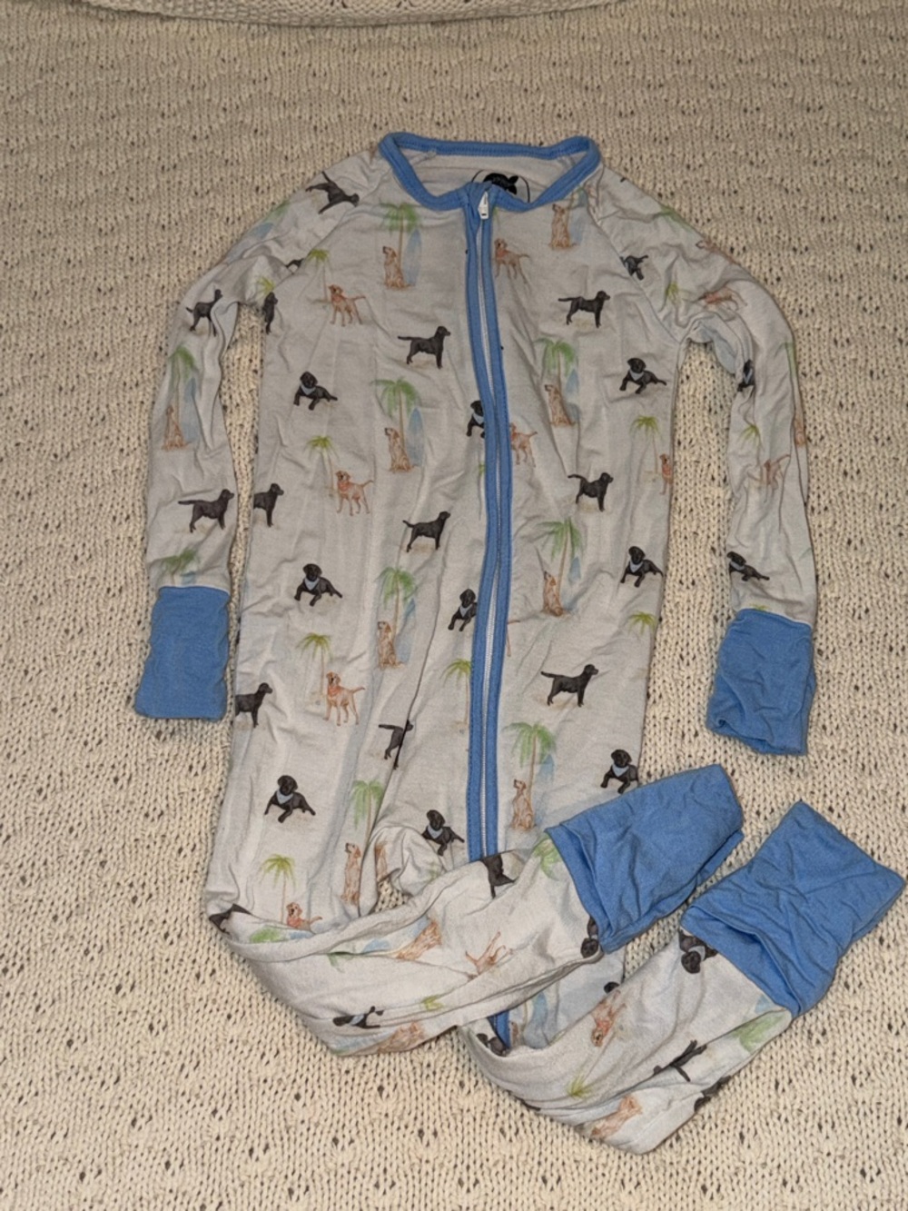 Light Gray Kids Zip-Front Pajama with Dog Print and Blue Trim